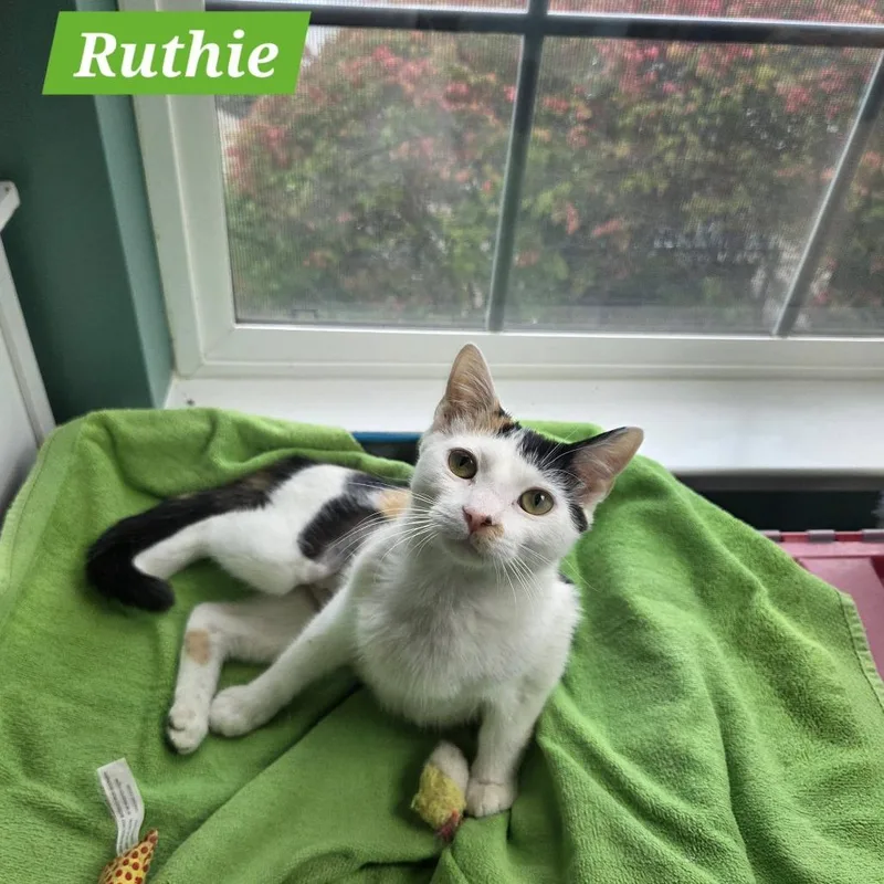 Ruthie thumbnail 3