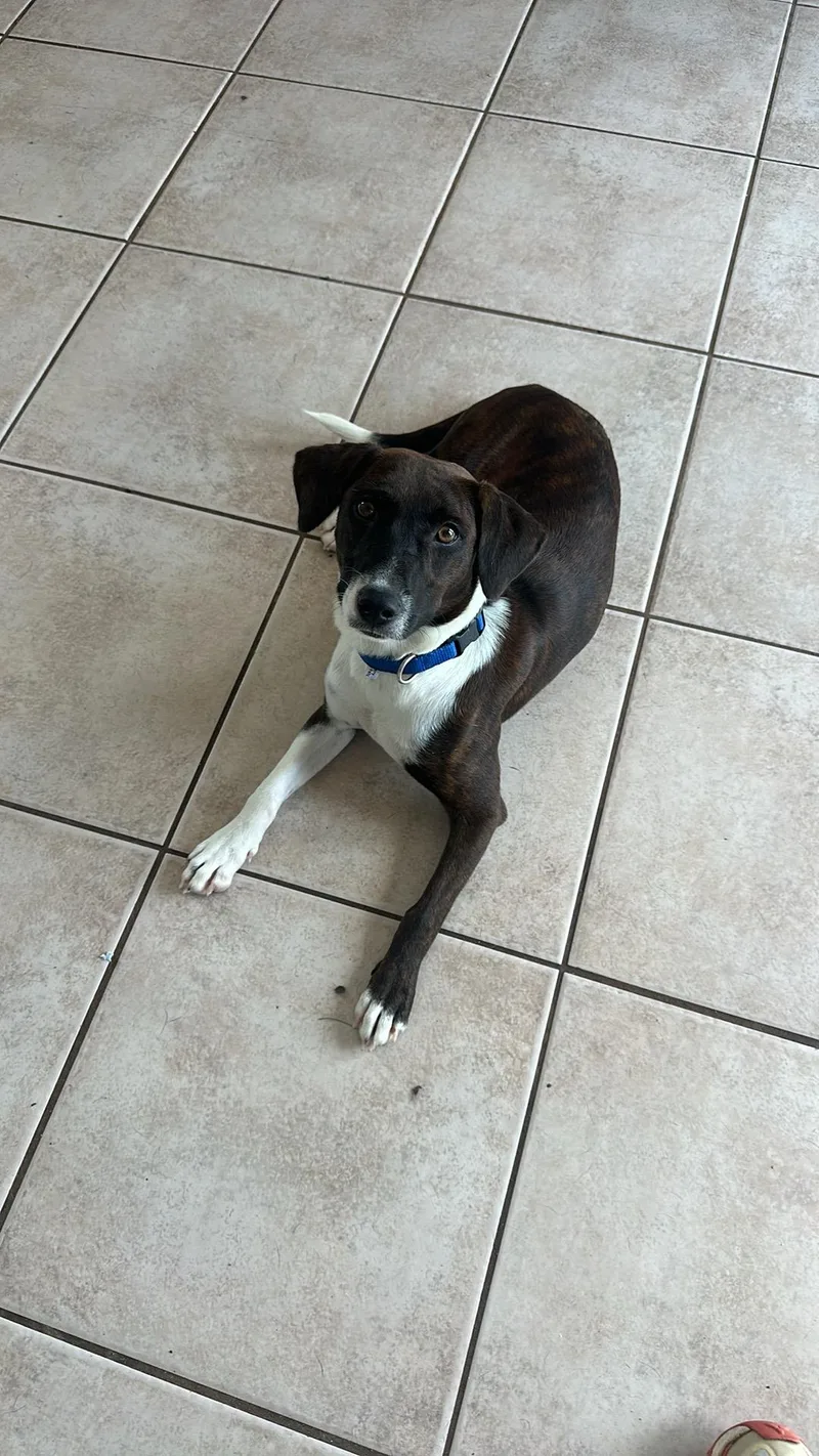 Mary Ellen thumbnail 2