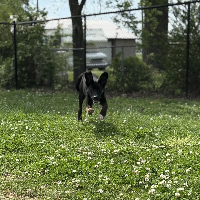 Sandwich thumbnail 3