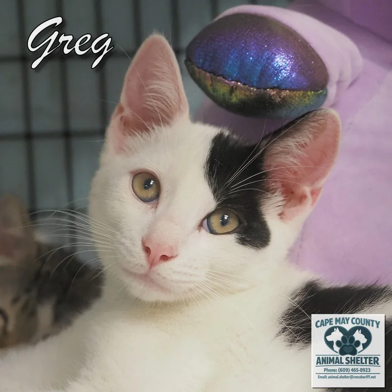 Greg and Cindy thumbnail 5