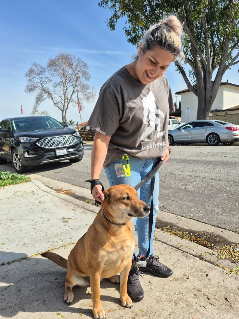 Maple With Cinnabon! thumbnail 3