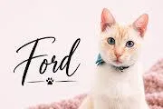 Ford thumbnail 3