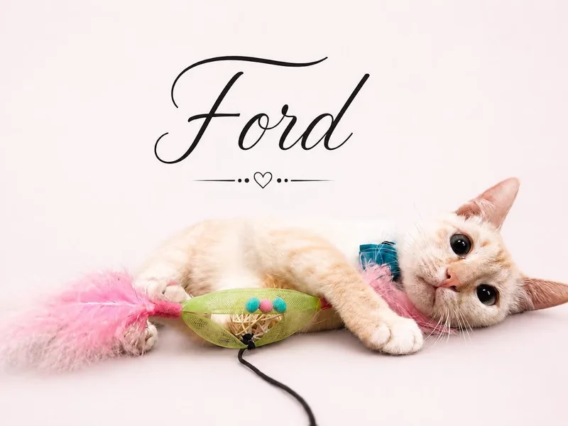 Ford thumbnail 4