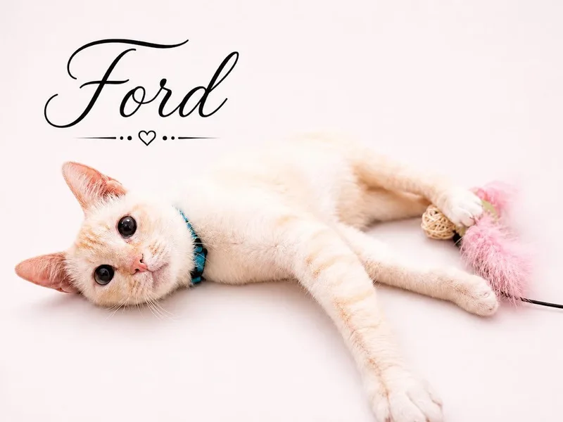 Ford thumbnail 6