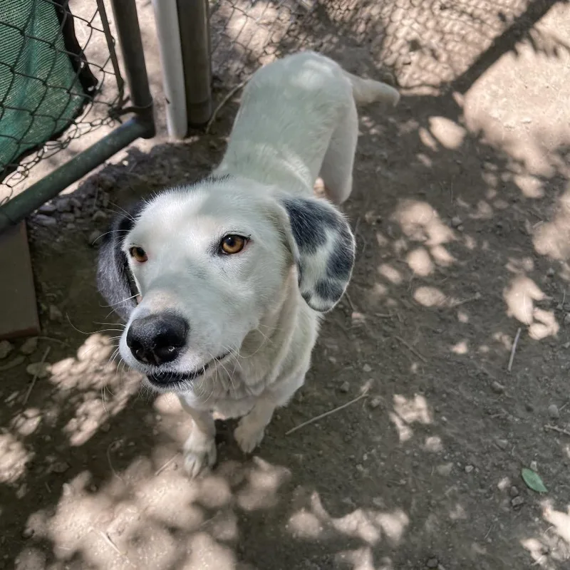 Moonee thumbnail 2