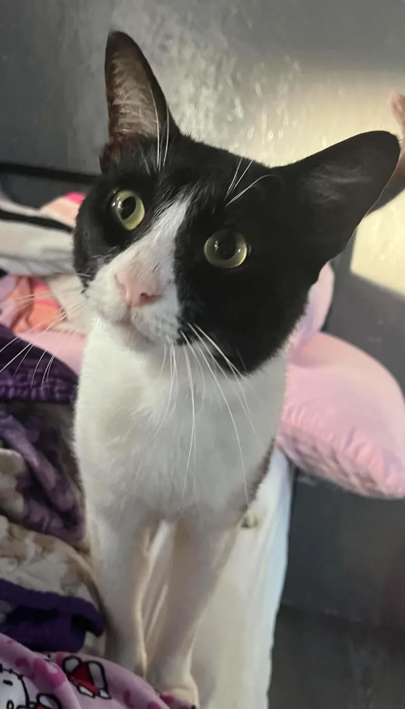 Charley thumbnail 3