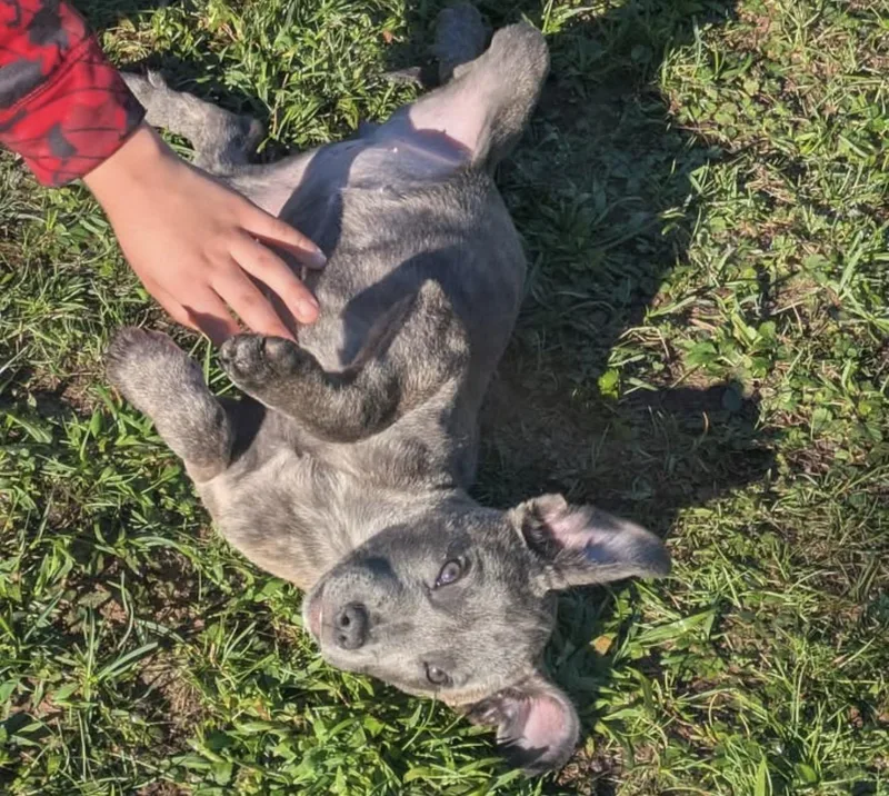 Maggie thumbnail 4