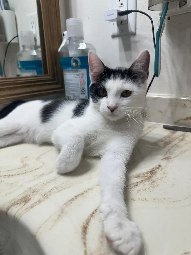 Jazzy Jeff thumbnail 2