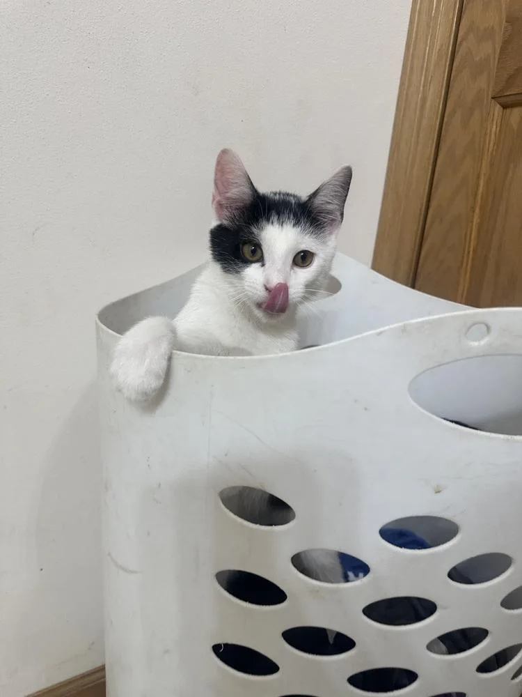 Jazzy Jeff thumbnail 3