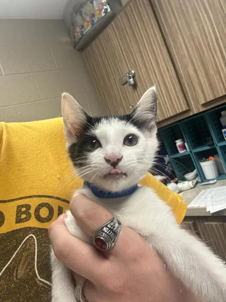 Jazzy Jeff thumbnail 4