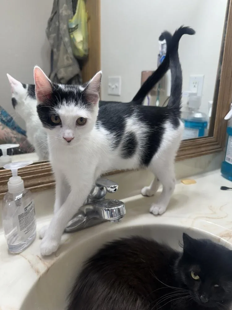 Jazzy Jeff thumbnail 5