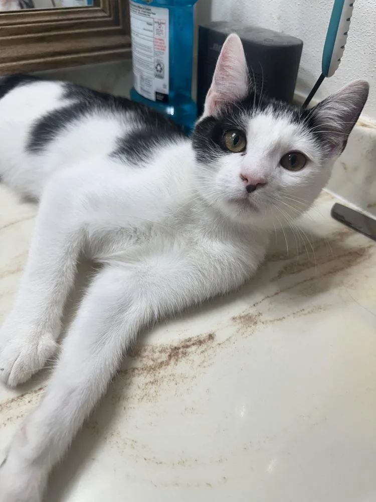 Jazzy Jeff thumbnail 6