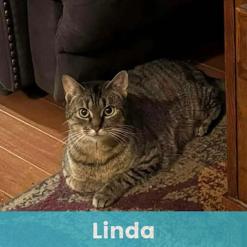 Linda