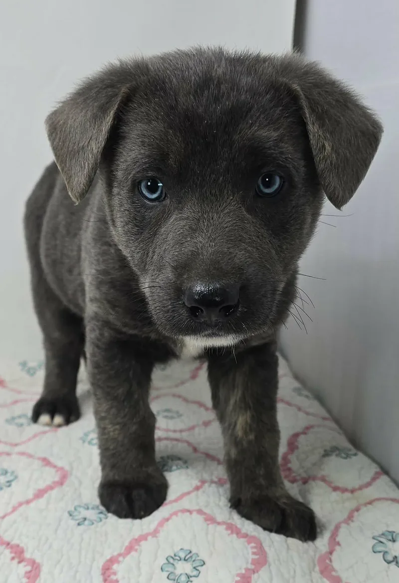 Bahama Breeze thumbnail 2