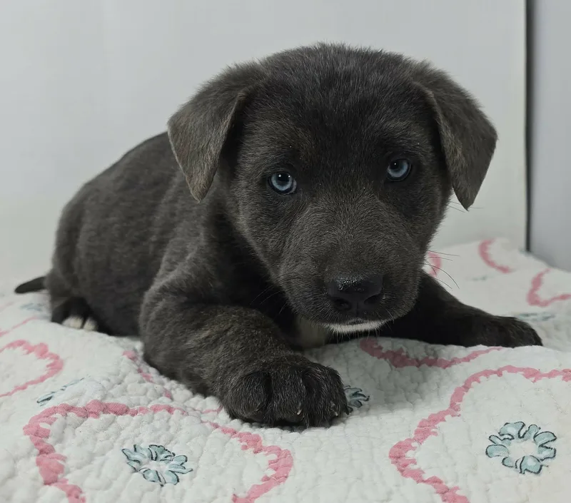 Bahama Breeze thumbnail 3