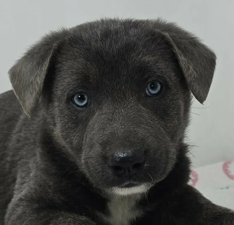 Bahama Breeze thumbnail 4