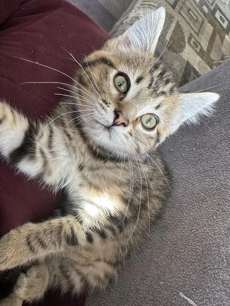 Emma Peppers