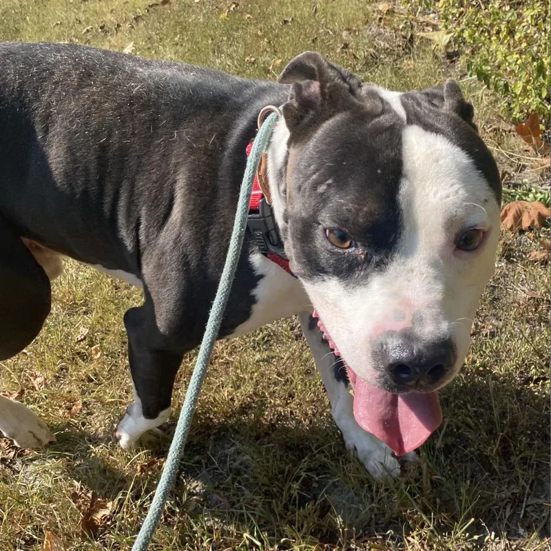 Corduroy thumbnail 2