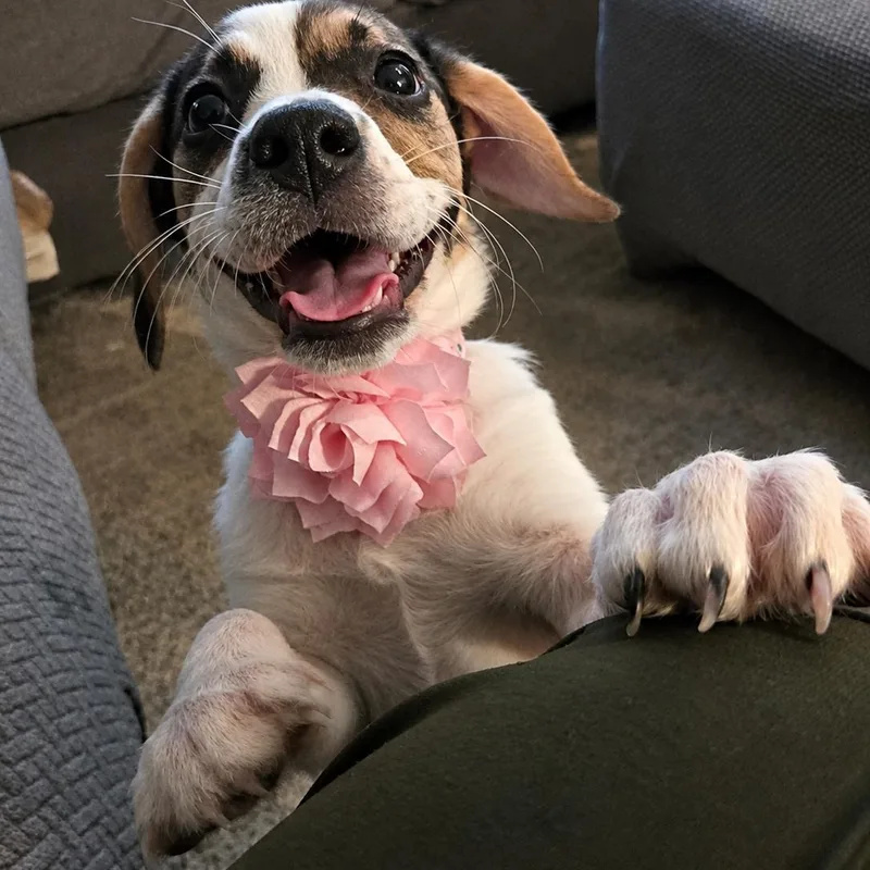 Matilda