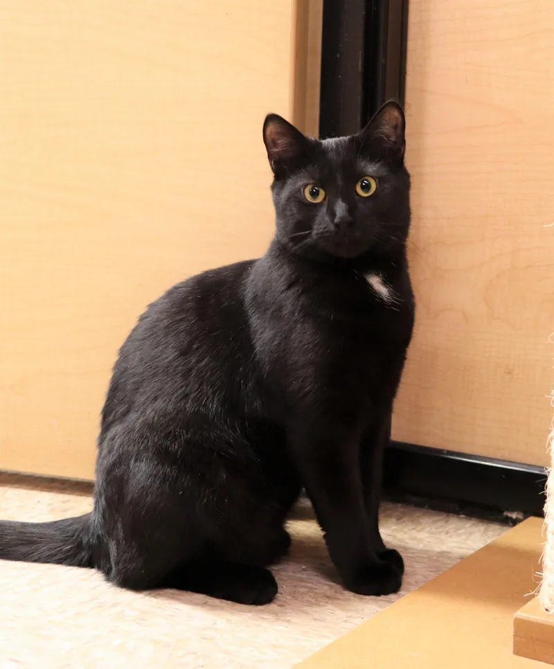 Betty & Didi thumbnail 2