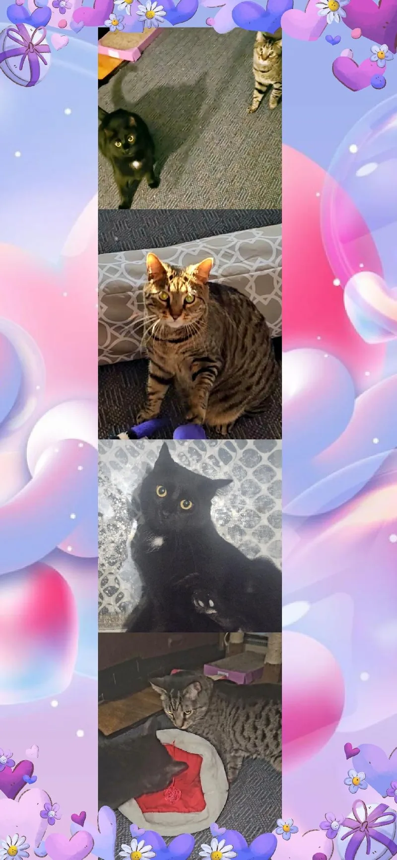 Betty & Didi thumbnail 3