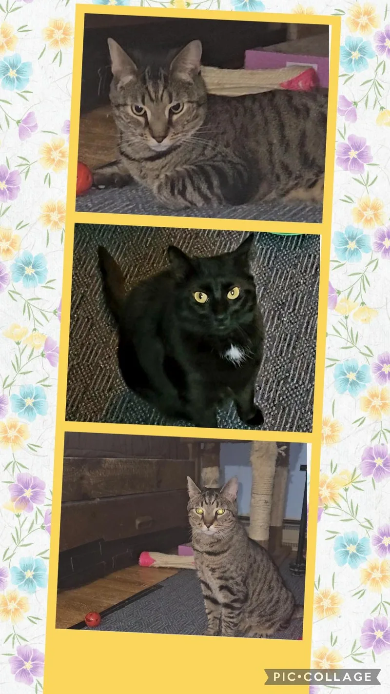 Betty & Didi thumbnail 4