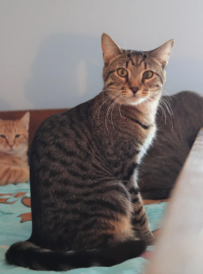 Betty & Didi thumbnail 5