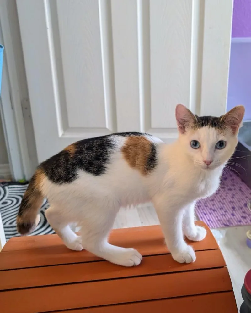 Chloe thumbnail 2