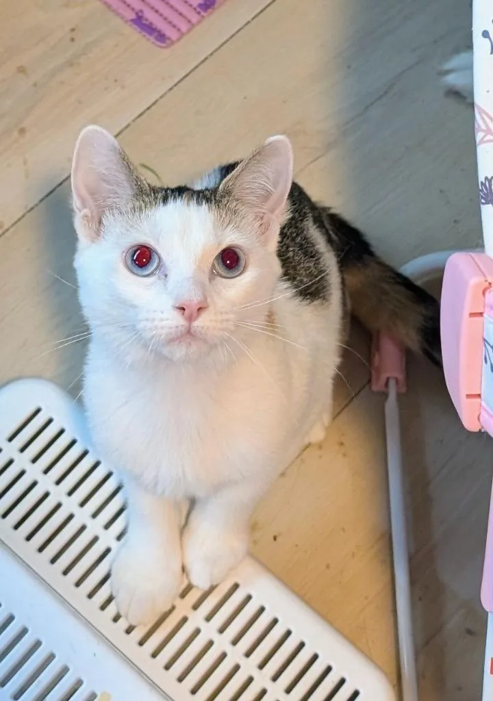 Chloe thumbnail 3