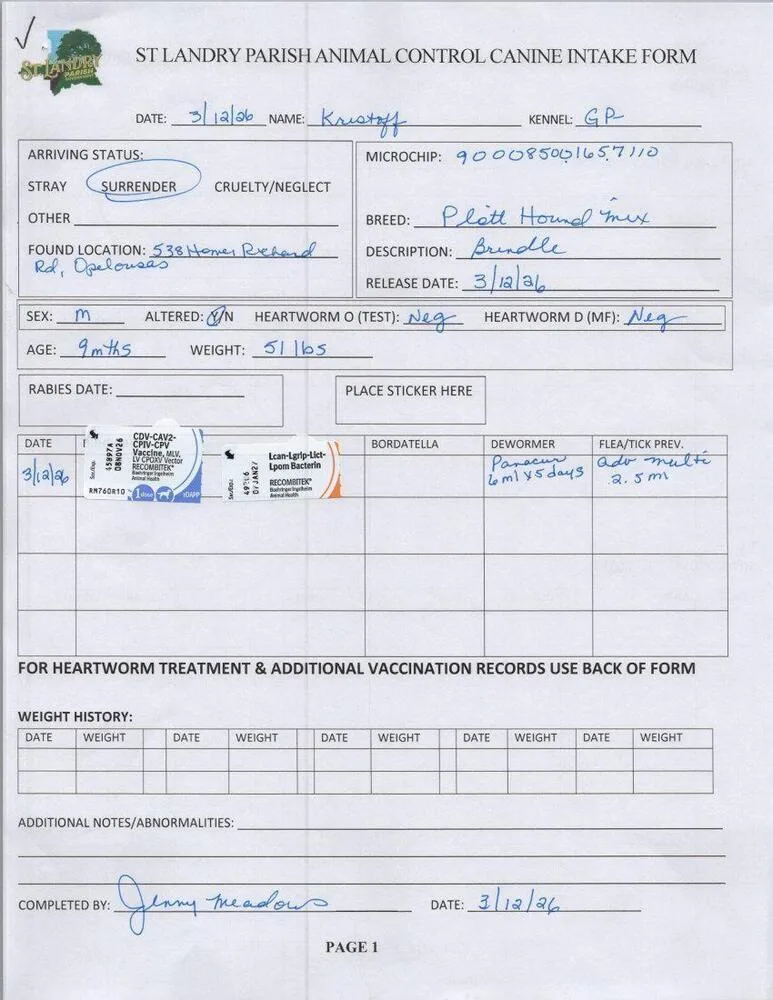 Kristoff thumbnail 2