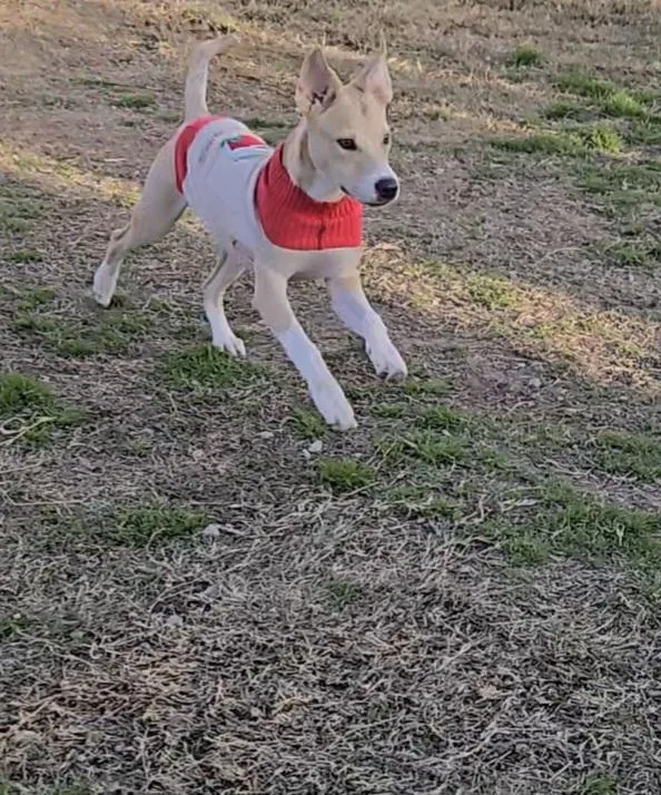 Connelly thumbnail 2