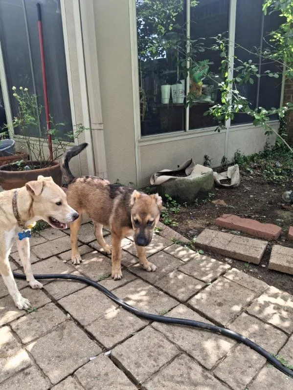 Connelly thumbnail 4