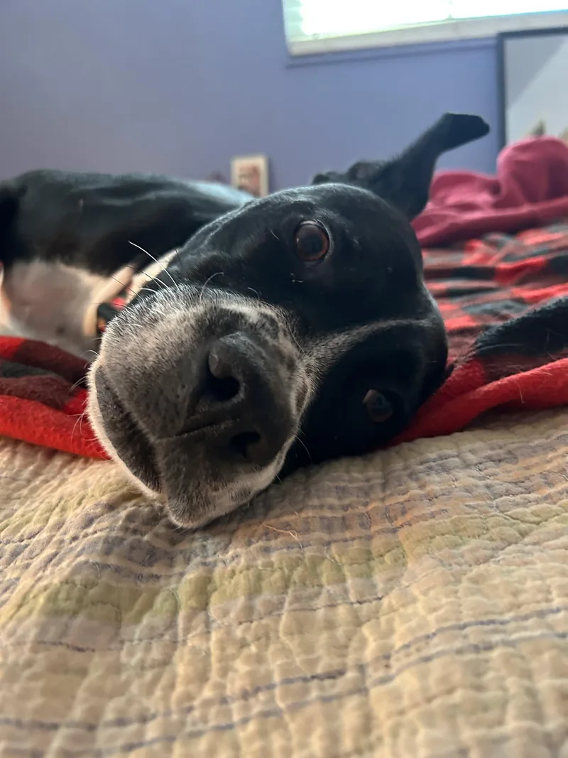 Dori CO