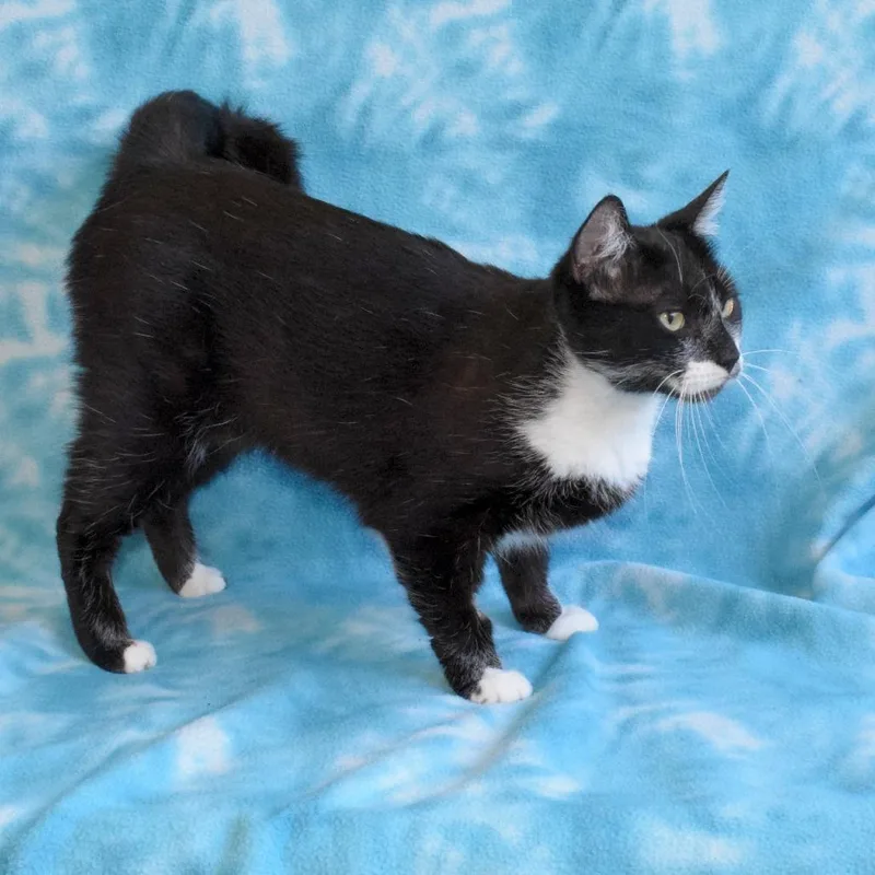 Delilah thumbnail 3