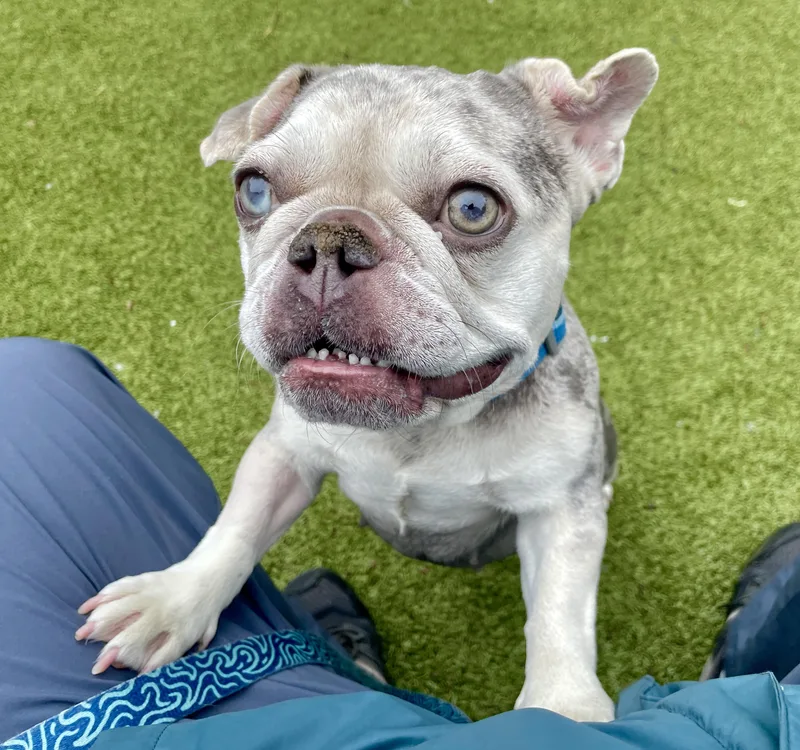 Maisey thumbnail 2