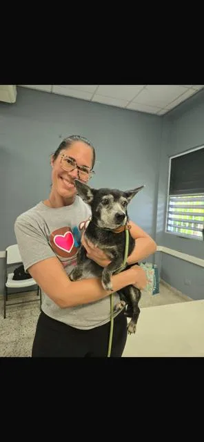 Tego Calderon thumbnail 2