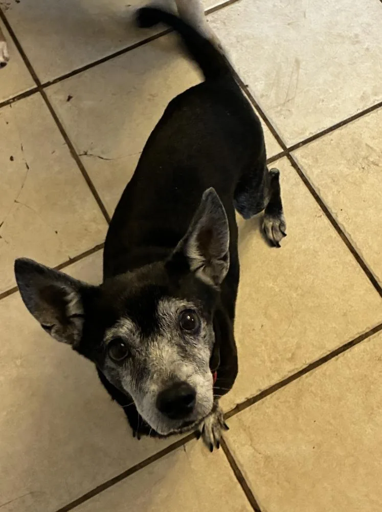 Tego Calderon thumbnail 4