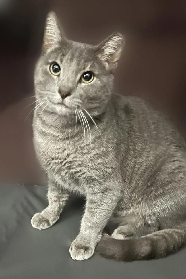 Big Smooth thumbnail 2