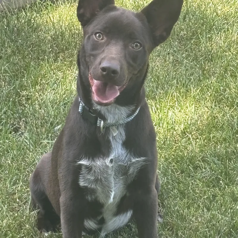 Slate thumbnail 4