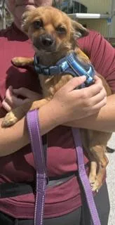Kizzy thumbnail 3