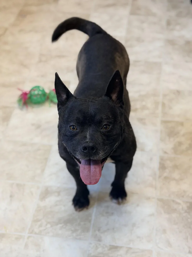 Diego