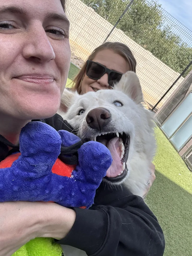 Blizzard thumbnail 6