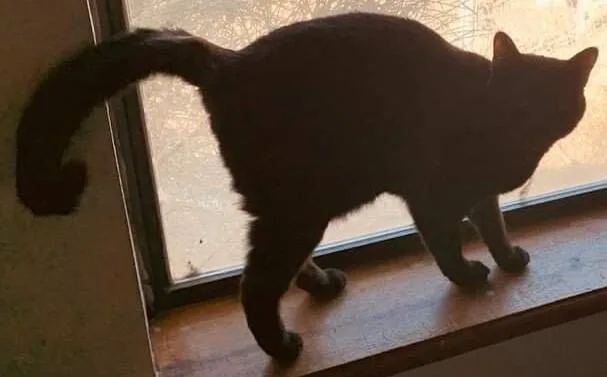 Kristine's Nikki thumbnail 2