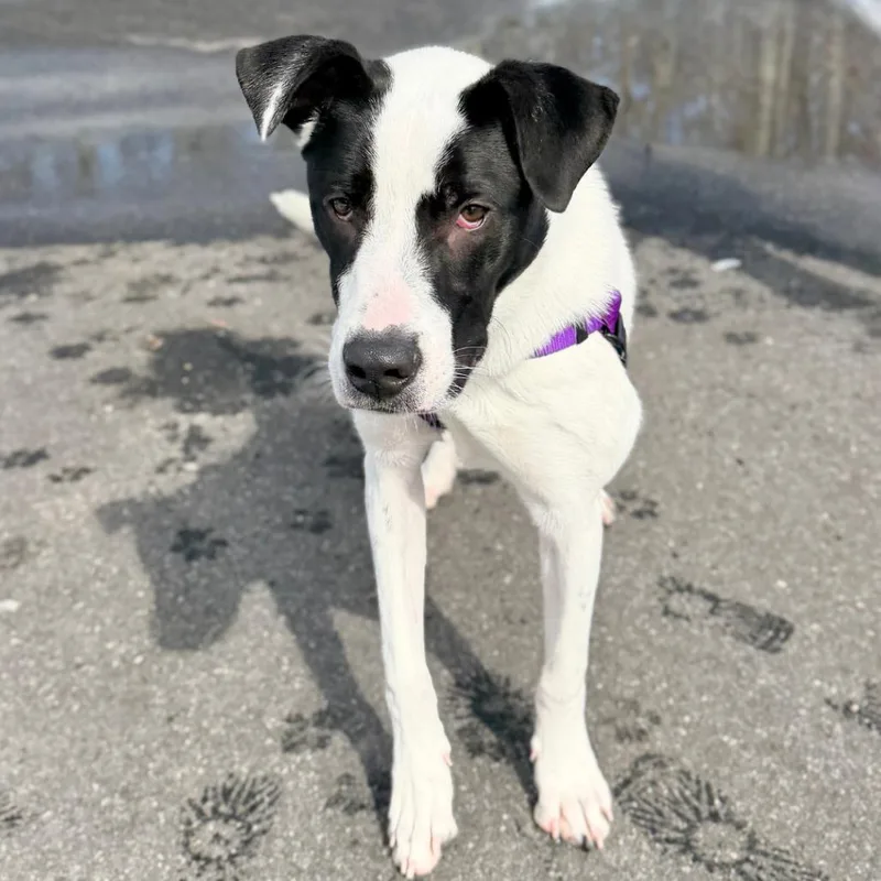 Haymitch thumbnail 2