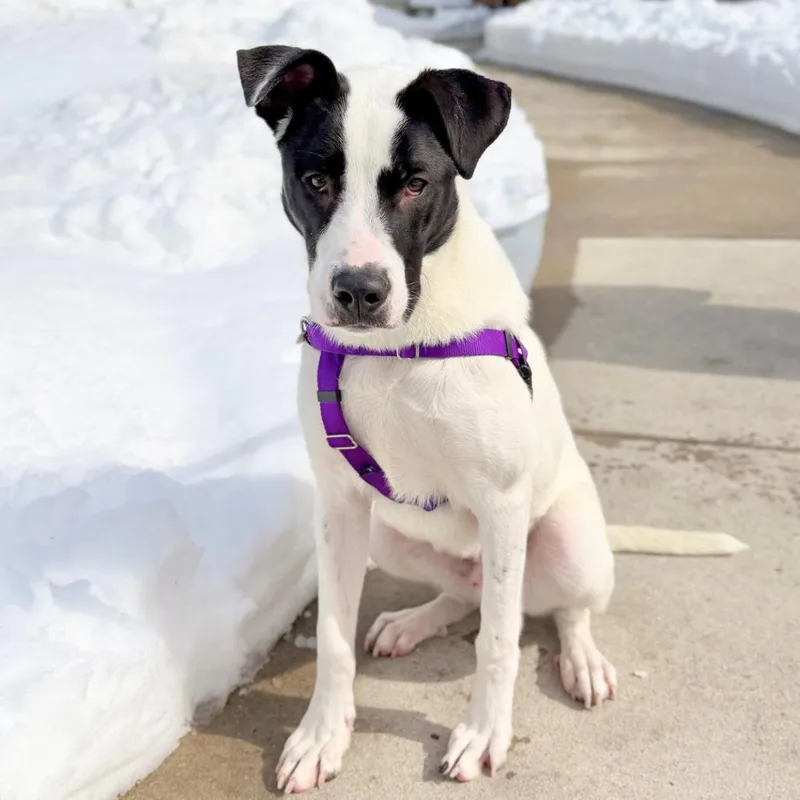 Haymitch thumbnail 3