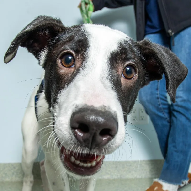 Haymitch thumbnail 5