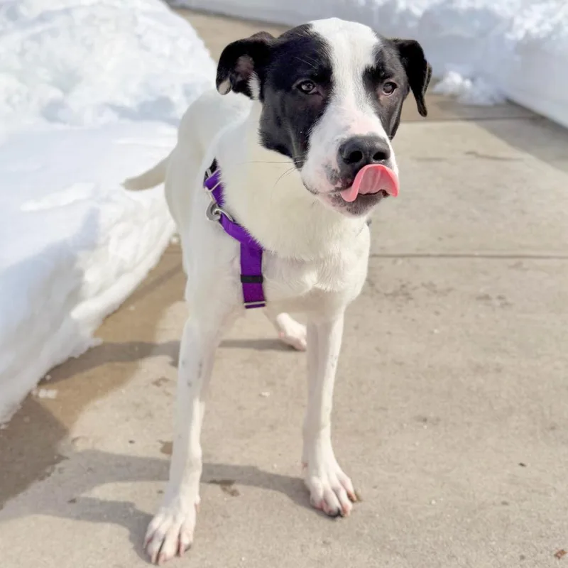 Haymitch thumbnail 6