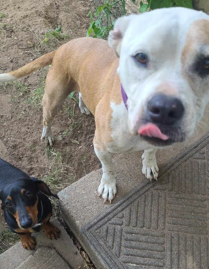 Nova Jane thumbnail 2