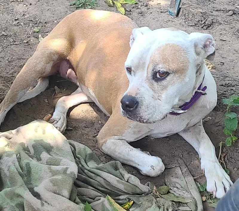 Nova Jane thumbnail 3