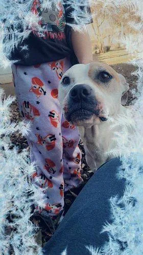 Nova Jane thumbnail 4